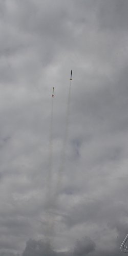 2013 Svojek Mirek Topinka